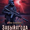 S.T.A.L.K.E.R. Забыйягода — Симович Сим
