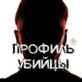 Профиль убийцы. Психологические аспекты криминального профайлинга — Дворянчиков Николай, Шипицын Дмитрий, Нечесова Светлана