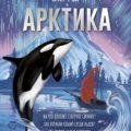 Арктика — Рой Олег