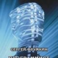 Программист — Фрумкин Сергей