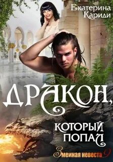 Дракон, который попал - Кариди Екатерина