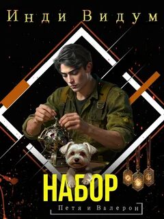 Петя и Валерон. Книга 6. Набор - Видум Инди