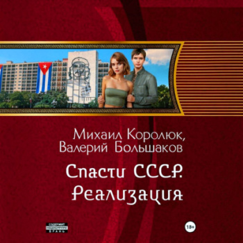 Спасти СССР. Реализация - Большаков Валерий