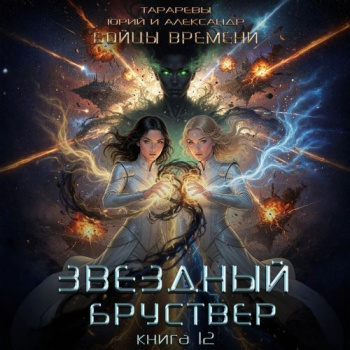 Бойцы времени. Книга 5 - Тарарев Юрий, Тарарев Александр
